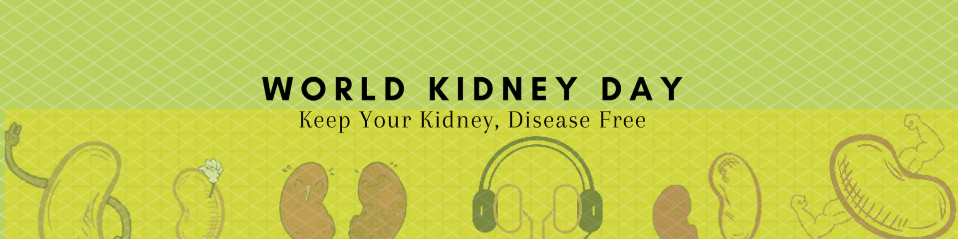 cover of kidney day